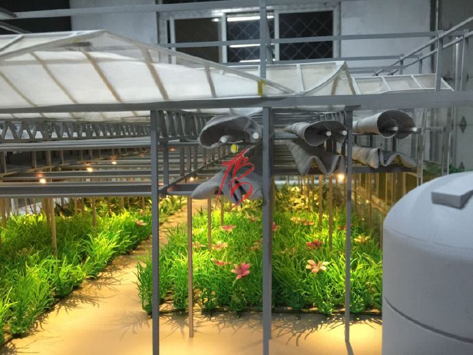 智能溫室大棚——溫室種植區(qū)